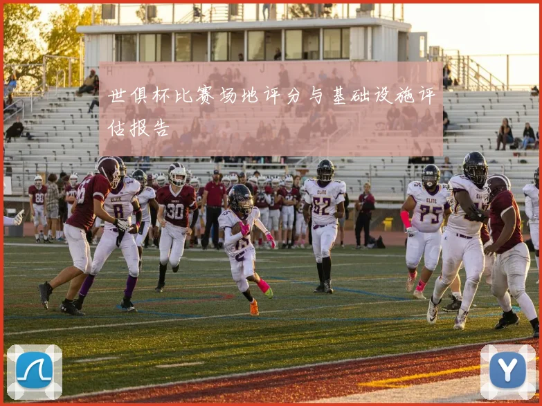 世俱杯比赛场地评分与基础设施评估报告