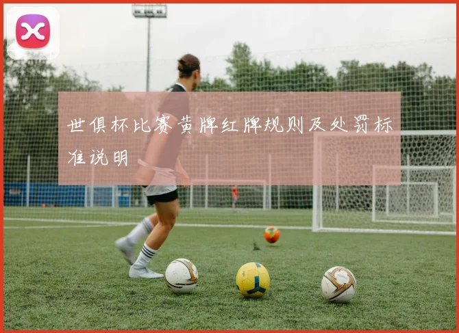 世俱杯比赛黄牌红牌规则及处罚标准说明