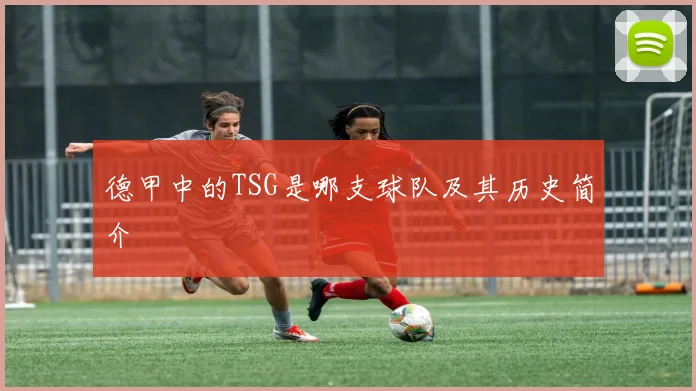 德甲中的TSG是哪支球队及其历史简介
