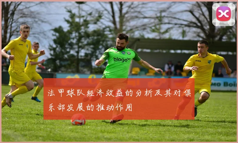 法甲球队经济效益的分析及其对俱乐部发展的推动作用