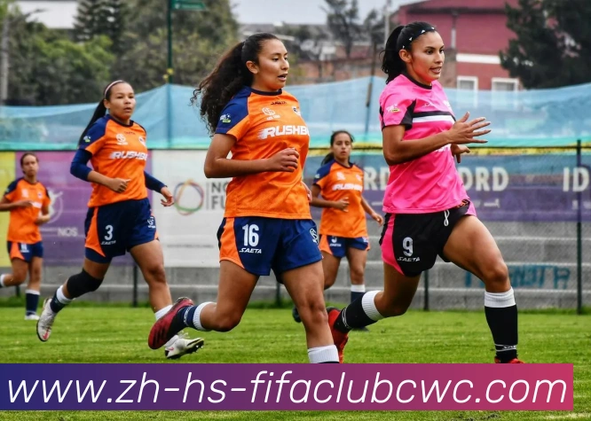 世界杯平台平台生态图