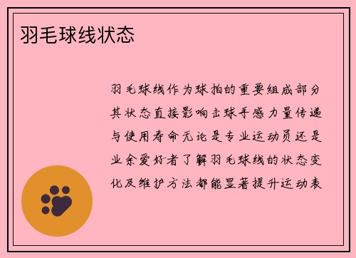 羽毛球线状态